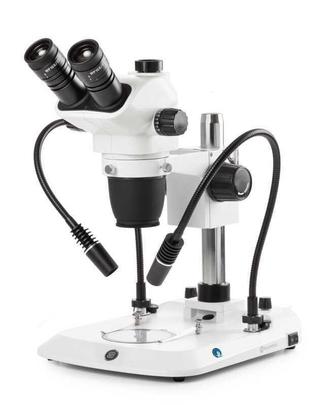 Mikroskop Euromex NZ.1703-PG NexiusZoom EVO Trino, PL-stand